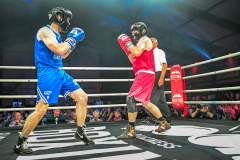 Boksgala-2024-GHE-141