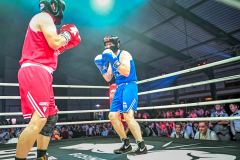 Boksgala-2024-GHE-149