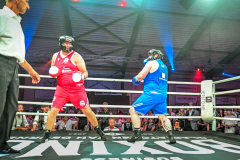 Boksgala-2024-GHE-197