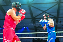 Boksgala-2024-GHE-28