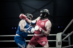 IP_GLADIATOREN_2024-174