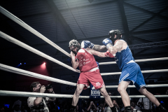 IP_GLADIATOREN_2024-179