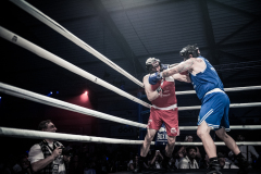 IP_GLADIATOREN_2024-181