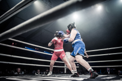 IP_GLADIATOREN_2024-200