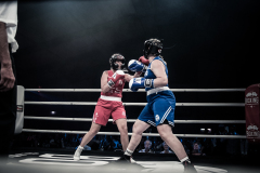 IP_GLADIATOREN_2024-202