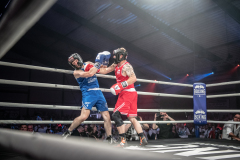 IP_GLADIATOREN_2024-245