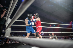 IP_GLADIATOREN_2024-246
