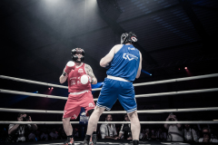 IP_GLADIATOREN_2024-248
