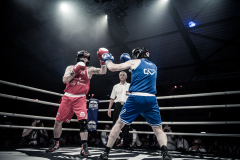 IP_GLADIATOREN_2024-252