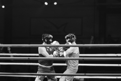 IP_GLADIATOREN_2024-3