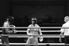 IP_GLADIATOREN_2024-5
