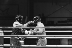 IP_GLADIATOREN_2024-7