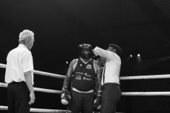 IP_GLADIATOREN_2024-9